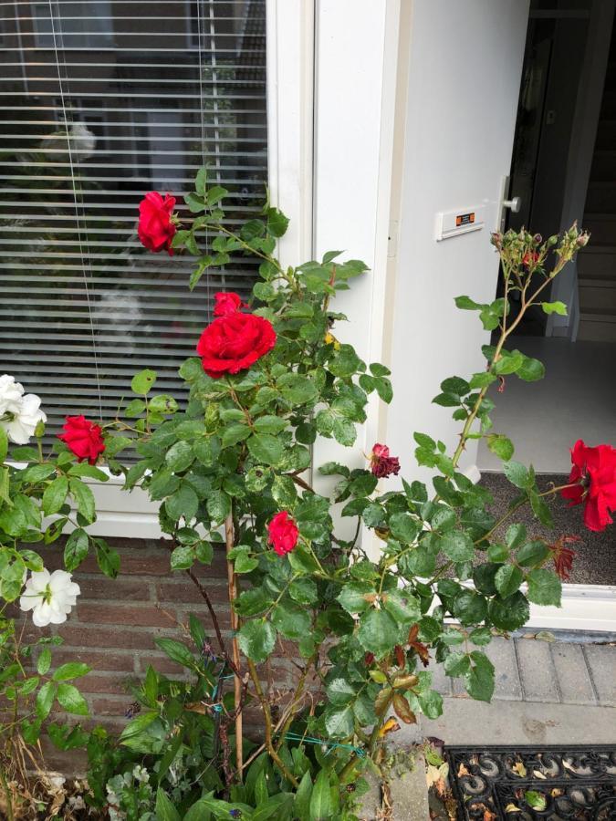 Vakantiewoning In Middelburg Zeeland المظهر الخارجي الصورة